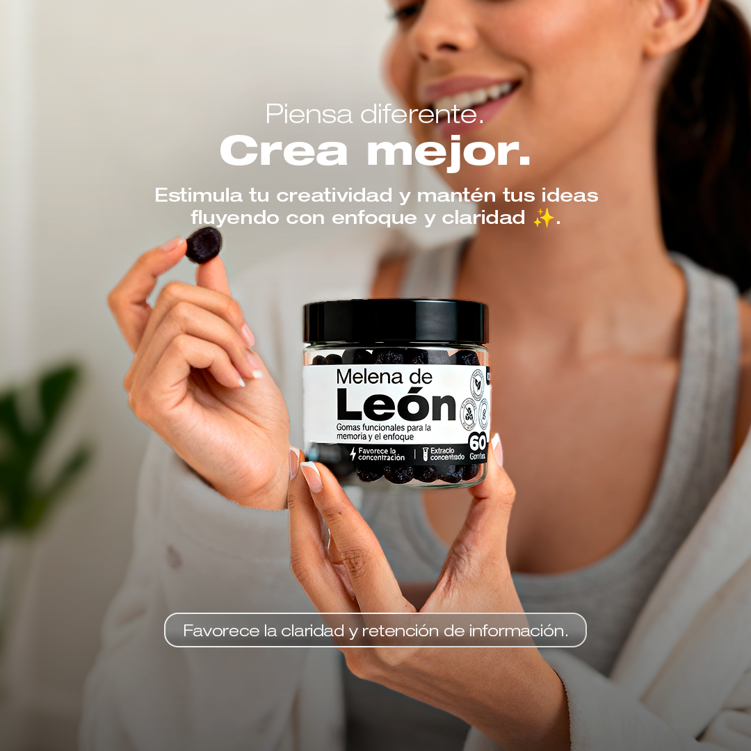 Melena de León extracto concentrado